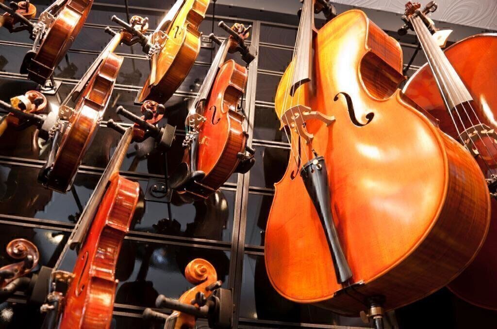 Teach Yourself Violin – And Have Fun Doing It
