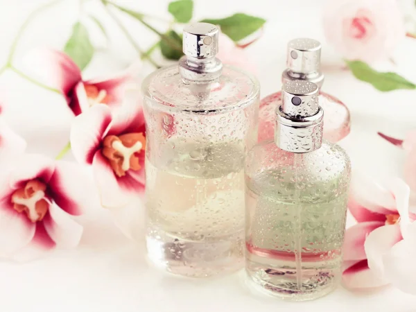 The Fragrance Frontier: Navigate Your Scent Journey