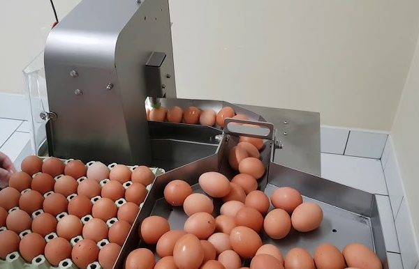 Eggsquisite Engineering: The Evolution of Egg Cracking Devices